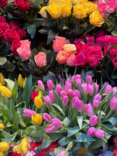 A vibrant display of fresh flowers including pink, yellow, and peach tulips, along with yellow daffodils and pink roses, arranged closely together. The tulips have smooth, elongated petals with open b